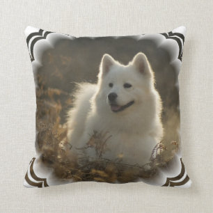 Samoyed-Kissen Kissen
