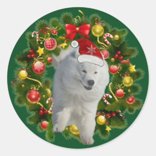 Samoyed-klassischer runder Aufkleber, glatt Aufkleber