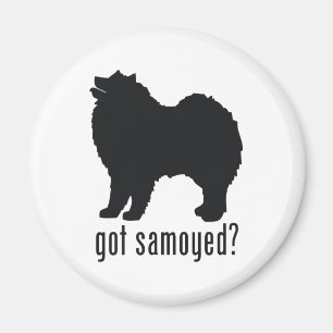 samoyed magnet