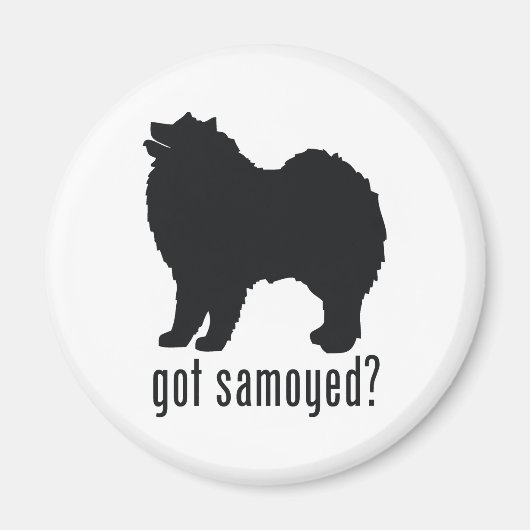 samoyed magnet (Vorne)