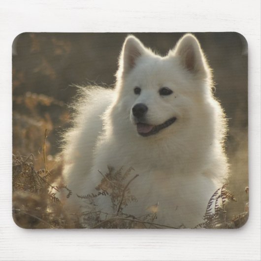 Samoyed-Mausunterlage Mousepad (Vorne)