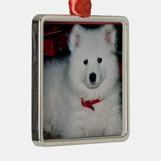 Samoyed Ornament (Rechts)