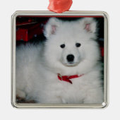Samoyed Ornament (Vorne)