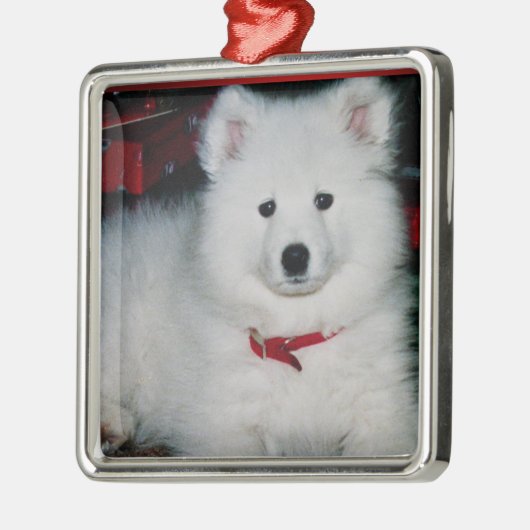 Samoyed Ornament Aus Metall (Links)