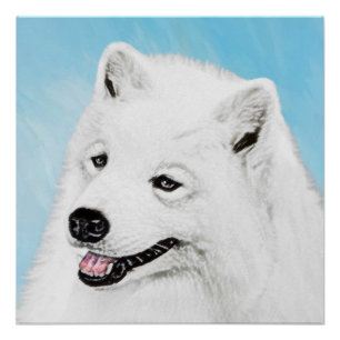 Samoyed Painting - Niedliche Original Dog Art Poster