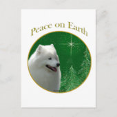 Samoyed Peace Postkarte (Vorderseite)