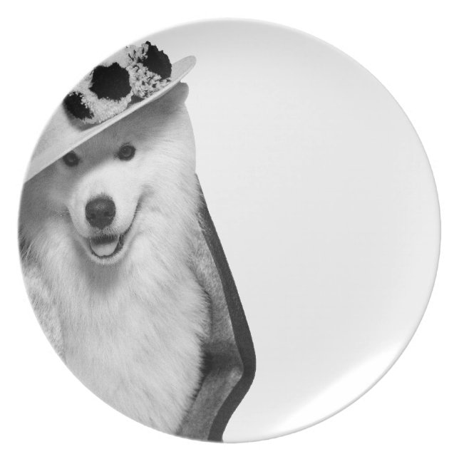 Samoyed Plate Teller (Vorderseite)