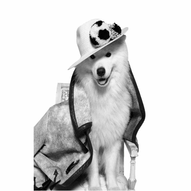 Samoyed Plv Standee Freistehende Fotoskulptur (Vorne)