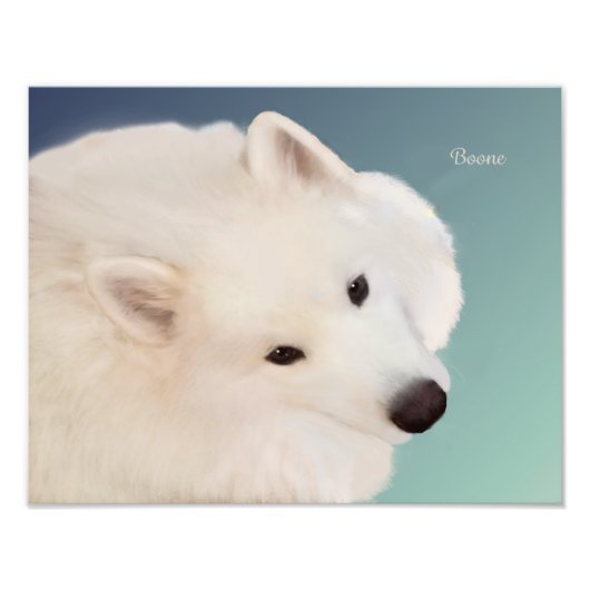 Samoyed Portrait;14" x 11",Prof.Foto Paper Satin Fotodruck (Vorne)