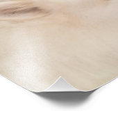 Samoyed Portrait;14" x 11",Prof.Foto Paper Satin Fotodruck (Ecke)