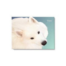 Samoyed Portrait 24." x 16."x 1.5" Wrapped Canvas