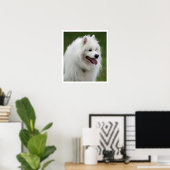 samoyed poster (Heimbüro)