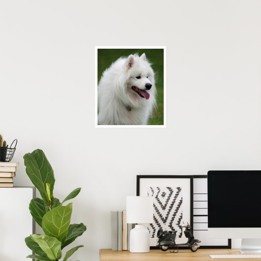 samoyed poster (Heimbüro)