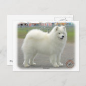 samoyed postkarte (Vorne/Hinten)
