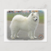 samoyed postkarte (Vorderseite)