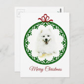 samoyed postkarte (Vorne/Hinten)