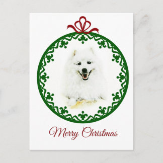 samoyed postkarte