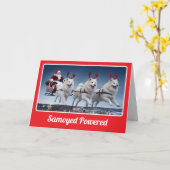 Samoyed Powered Sleigh Folght Grußkarte Karte (Gelbe Blume)