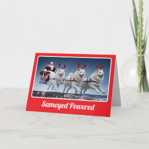 Samoyed Powered Sleigh Folght Grußkarte Karte