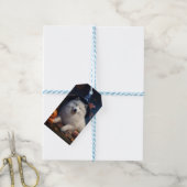 Samoyed Pumpkins Halloween Beängstigend Geschenkanhänger (Mit Garn)