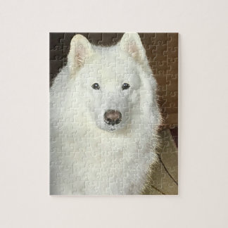 Samoyed-Puzzlespiel Puzzle