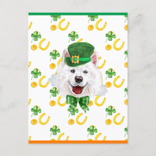 Samoyed Shamrock St. Patricks Day Feiertagspostkarte
