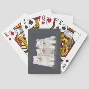 Samoyed-Spielkarten Spielkarten