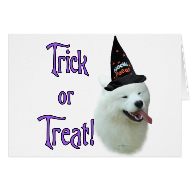 Samoyed Trick (Vorderseite (Horizontal))