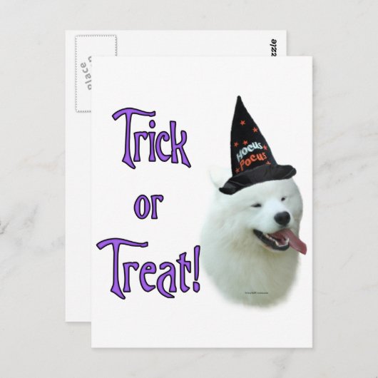 Samoyed Trick Postkarte (Vorne/Hinten)