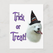 Samoyed Trick Postkarte (Vorderseite)