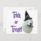Samoyed Trick Postkarte (Vorne/Hinten)