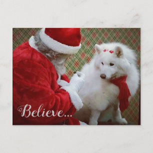 Samoyed und Weihnachts-Postkarte Ankündigungspostkarte
