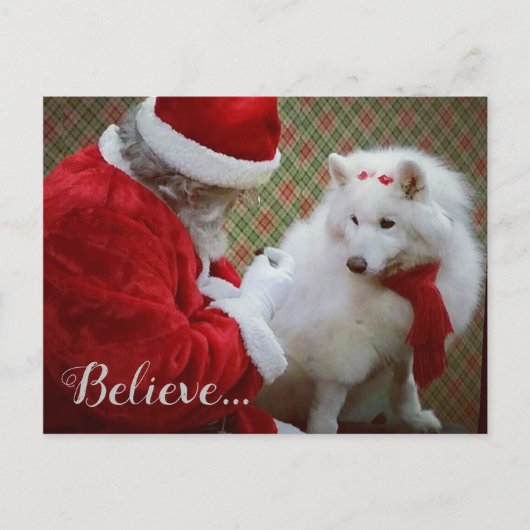 Samoyed und Weihnachts-Postkarte Ankündigungspostkarte (Vorderseite)