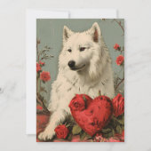Samoyed Vintag Valentinstag Feiertagskarte (Vorderseite)