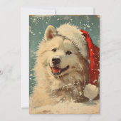 Samoyed Weihnachten (Vorderseite)