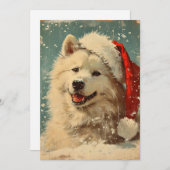 Samoyed Weihnachten (Vorne/Hinten)