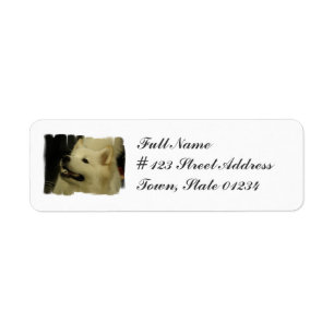 Samoyed-Welpen-Rücksendeadressemailings-Aufkleber