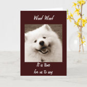 SAMOYED WISHER GLÜCKLICH BIRTHTAG "VON DER GRUPPE" KARTE (Gelbe Blume)