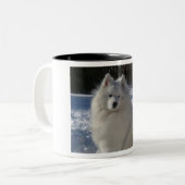 Samoyed Zweifarbige Tasse (Vorderseite Links)