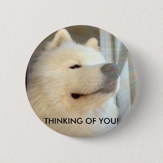 SamoyedhundAbzeichen, das an Sie denkt! Button (Vorderseite)