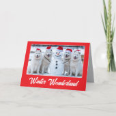 Samoyeds und Snowman Karte (Vorderseite)
