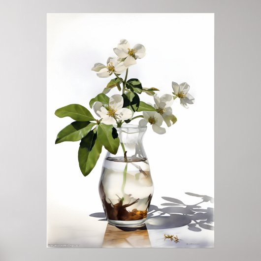 Sampaguita, alias Jasminum Sambac Poster (Vorne)