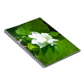 Sampaguita Jasmin-Blume Notizblock (Rechte Seite)