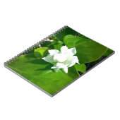Sampaguita Jasmin-Blume Notizblock (Linke Seite)