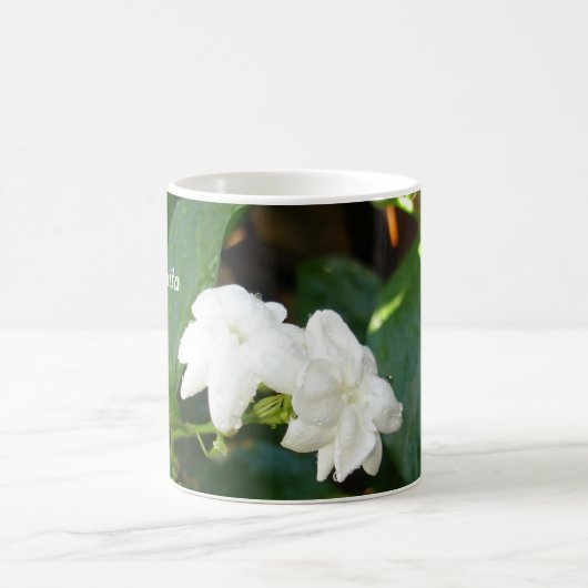 Sampaguita Tasse (Mittel)