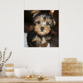 Sampson Poster (Küche)