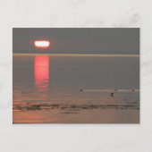 Samsø Insel-Dänemark-Foto Colette im Juli 2009 Postkarte (Vorderseite)