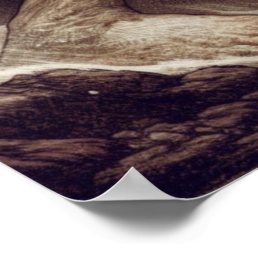 Samson kämpft gegen Löwenbibel Poster (Ecke)