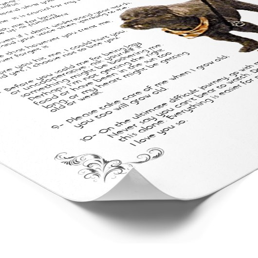 SAMSON - Poster (Ecke)