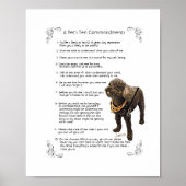 SAMSON - Poster (Vorne)